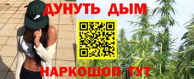 твердый Гусев